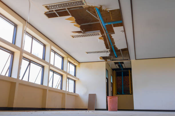 Best Basement water damage restoration  in Hertford, NC