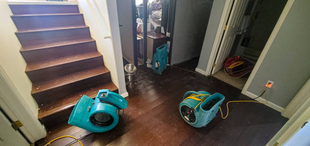 Best Water damage restoration near me  in Hertford, NC