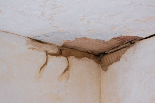Best Commercial water damage restoration  in Hertford, NC