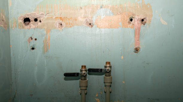  Hertford, NC Water damage restoration Pros