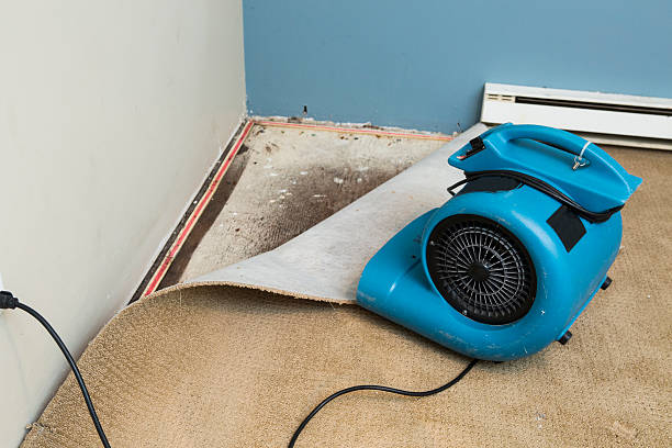 Best Water damage restoration specialists  in Hertford, NC