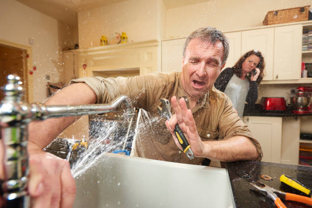 Best Local water damage restoration  in Hertford, NC